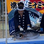 ミナミマグロ、おいしかったよ!(マグロの解体ショー)